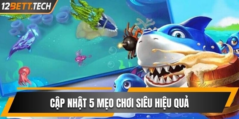 Cập nhật mẹo chơi hiệu quả từ phía chuyên gia nhà cái