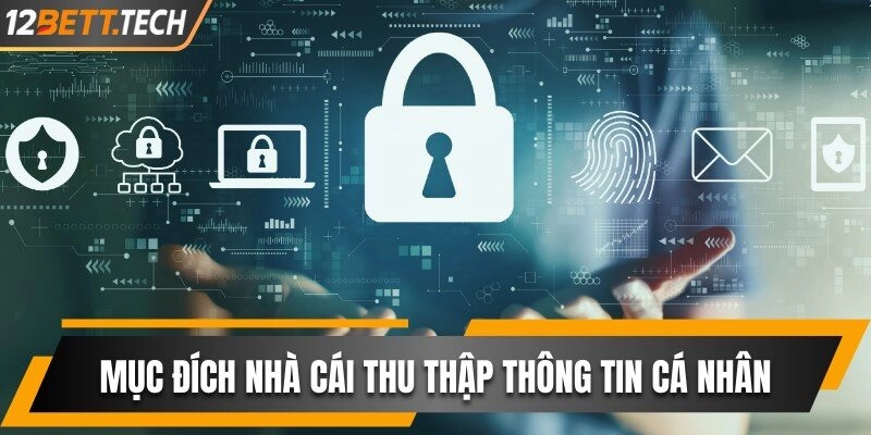 Tìm hiểu mục đích thu thập và sử dụng thông tin